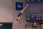 Women's Diving  Wheaton College Women’s Diving vs Mount Holyoke College. - Photo by Keith Nordstrom : Wheaton, Swimming & Diving